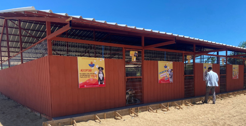 Centro de Mantención Temporal de Mascotas triplica su superficie habilitada